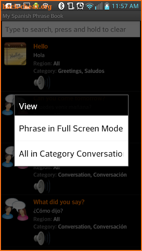 My Spanish Phrasebook screenshot