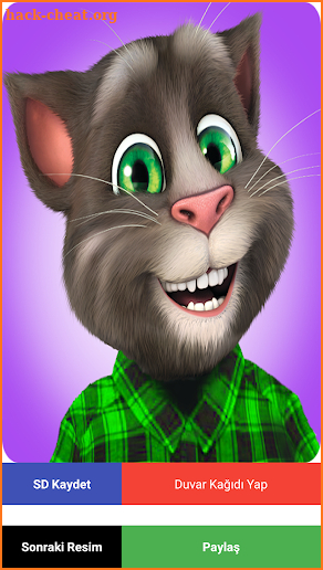 My Talking Tom Wallpapers Free screenshot