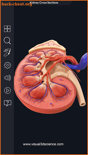 My Urinary System screenshot