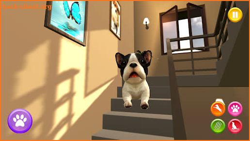 My virtual dog puppy simulator screenshot