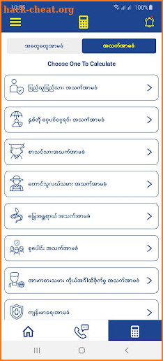 Myanma Insurance screenshot