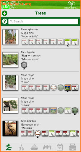 MyBonsai screenshot