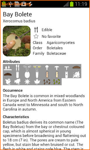 Myco - Mushroom Guide screenshot