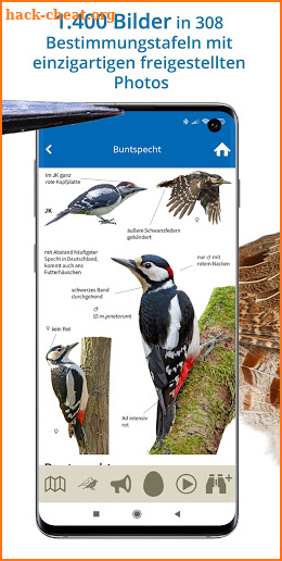 NABU Vogelwelt - Vögel Entdecken und Bestimmen screenshot