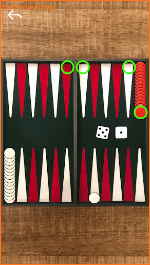 Narde Backgammon screenshot