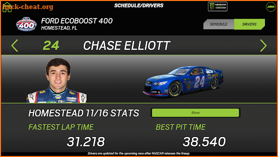 NASCAR RACEVIEW MOBILE screenshot