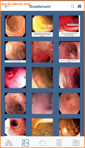 NASPGHAN toolbox screenshot