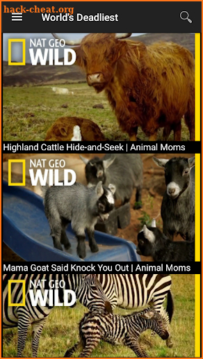 Nat Geo Wild screenshot