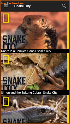 Nat Geo Wild screenshot