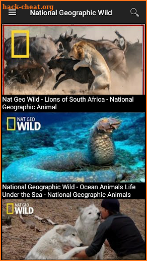 Nat Geo Wild screenshot