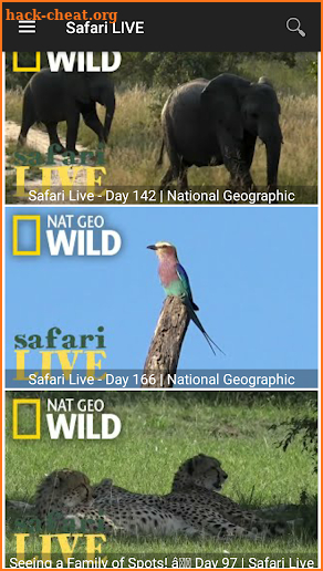 Nat Geo Wild Channel screenshot