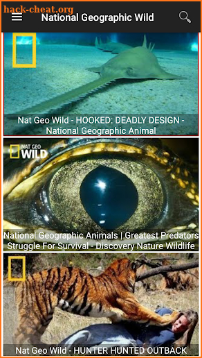 Nat Geo Wild Channel screenshot