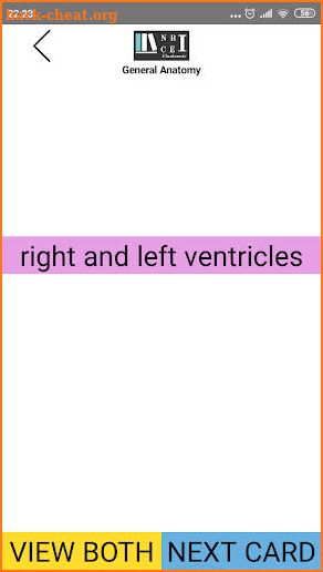 NBCE Flashcards Part 1 General Anatomy screenshot