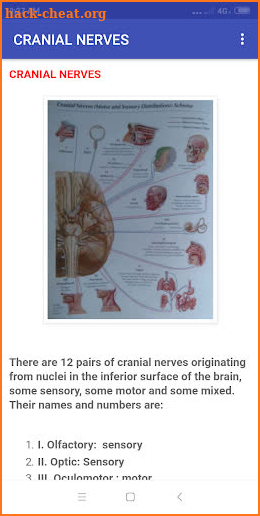 NERVOUS SYSTEM screenshot