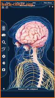 Nervous System Anatomy Pro. screenshot