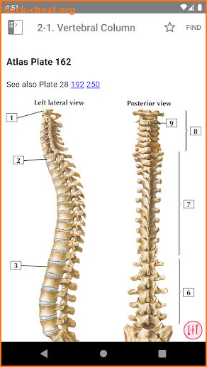 Netter's Anatomy Flash Cards screenshot