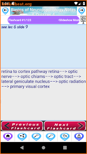 Neuropsychology Notes & Quizzes Exam Review Free screenshot