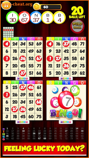 New Bingo Cards Game Free screenshot