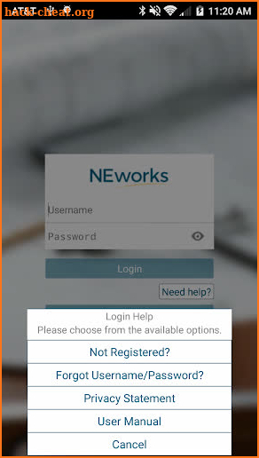 NEworks screenshot