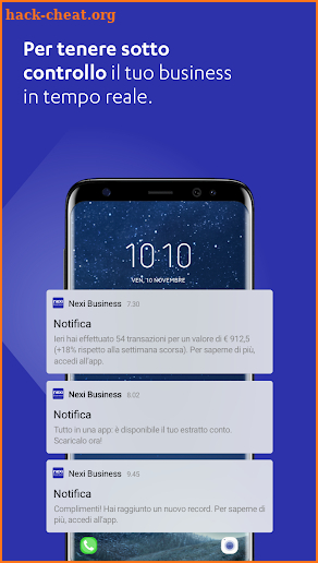 Nexi Business screenshot