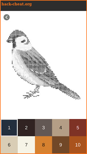 Nice Birds Pixel Art: Coloring By number screenshot