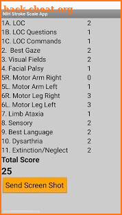 NIHSS - NIH Stroke Scale screenshot