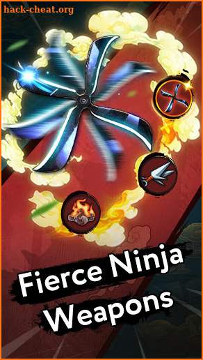 Ninja Radiance screenshot