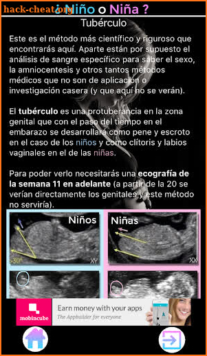 Niño o Niña: El sexo de tu bebé screenshot