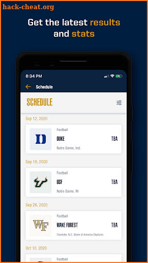 Notre Dame Fighting Irish screenshot