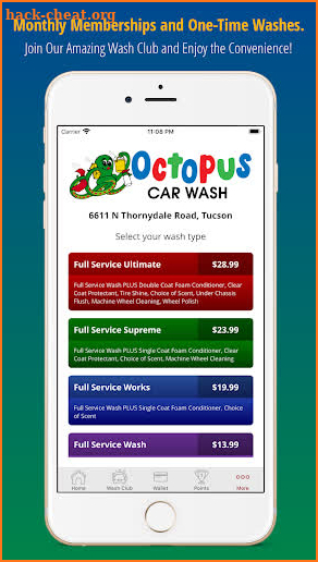 Octopus Car Wash screenshot