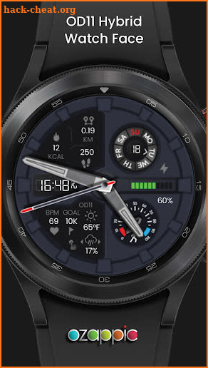 OD11 Hybrid Watch Face screenshot