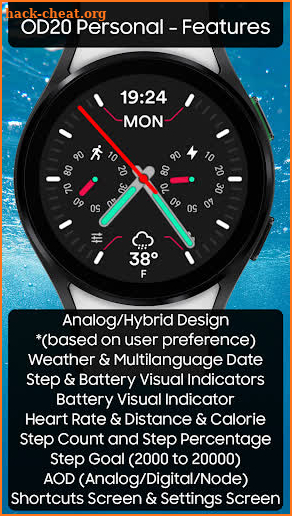 OD20 Personal Watch Face screenshot