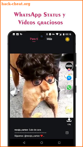 Ojoo Animal - Videos graciosos de Animal screenshot