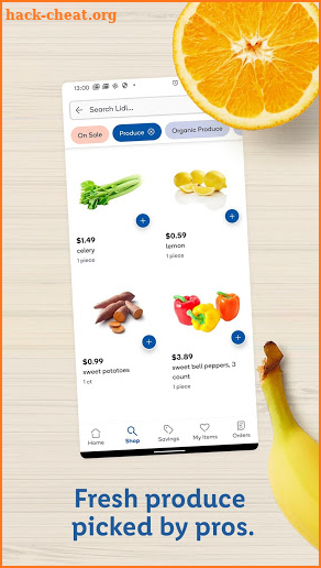 Online Lidl Delivery screenshot