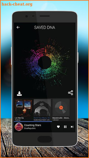 Online Offline Music Player screenshot