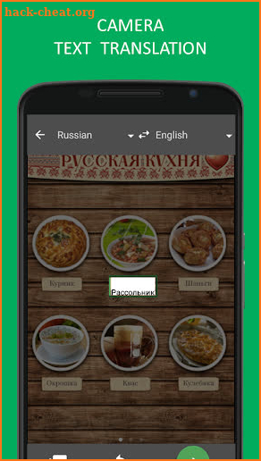 Online–Translator.com Free Translator & Dictionary screenshot