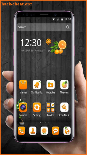 Orange Fruit Theme🍊 screenshot