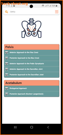 Orthopedic Surgical Approaches screenshot