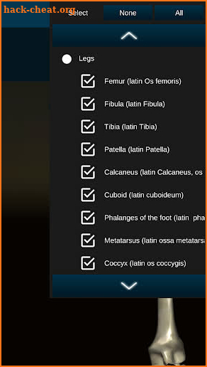 Osseous System in 3D (Anatomy) screenshot