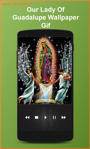 Our Lady Of Guadalupe Wallpaper Gif screenshot