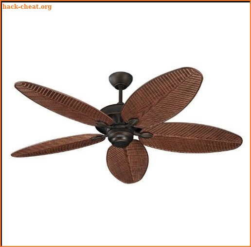 Outdor Ceiling Fan screenshot