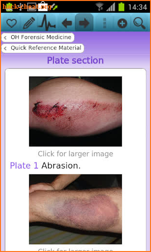 Oxford Handbook of Forensic M screenshot