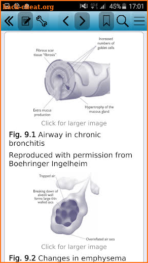 Oxford Handbook Respir Nursing screenshot