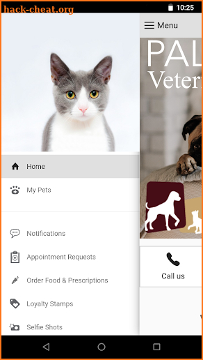 Paleface Vet Clinic screenshot