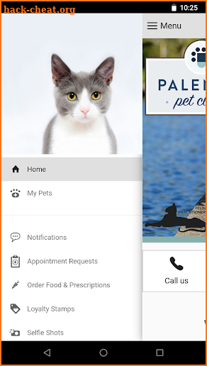 Palencia Pet Clinic screenshot