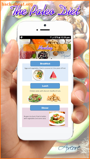 Paleo Diet Plan Beginner screenshot