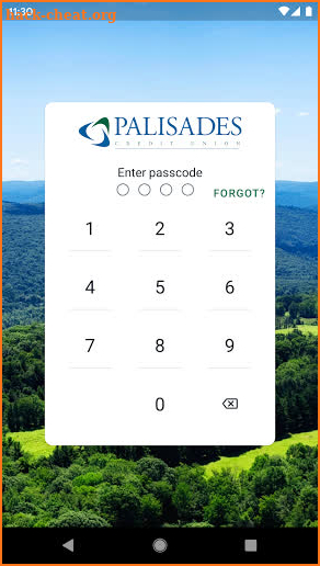 Palisades Credit Union screenshot