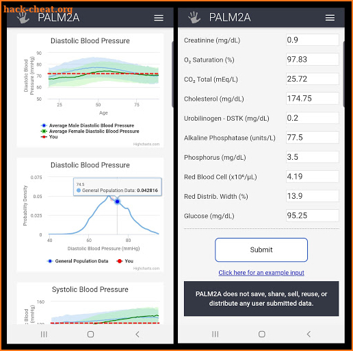 PALM2A - Age Prediction with Deep Learning screenshot