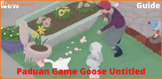 Panduan Game Goose Untitled screenshot