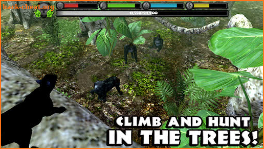 Panther Simulator screenshot